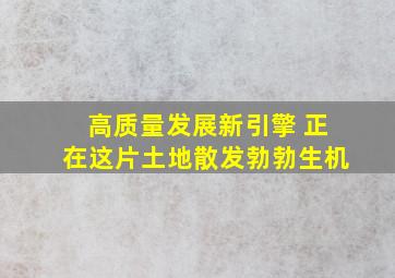 高质量发展新引擎 正在这片土地散发勃勃生机